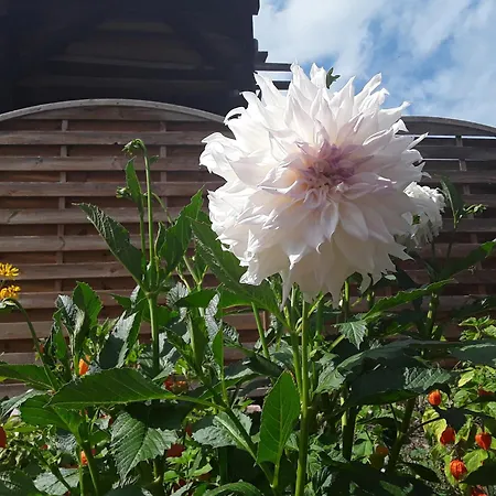 Haus Kallin 아파트