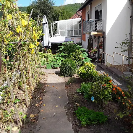 公寓 Haus Kallin