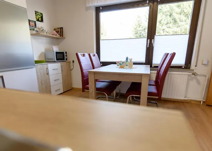 Haus Kallin 公寓 *