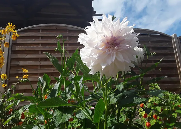 Haus Kallin アパート