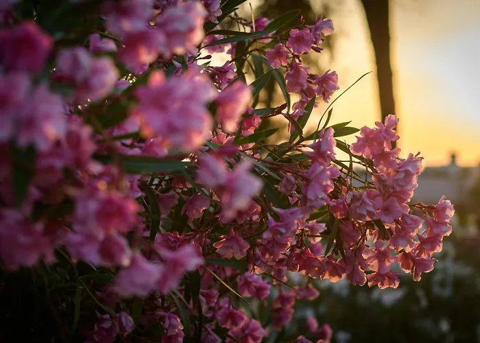 Haus Kallin アパート *