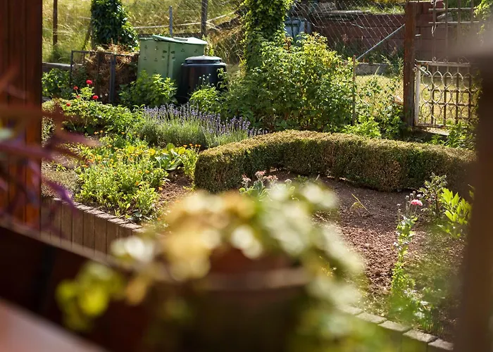 公寓 Haus Kallin 伊达尔-奥伯施泰因